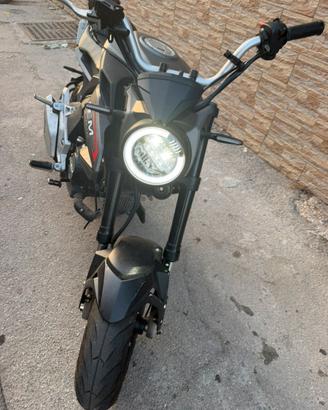 Lem brutus 110
