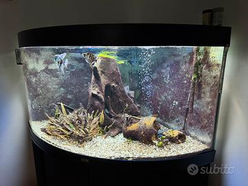 Acquario Juwel trigon 350lt Angolare