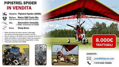 Deltamotore Pipistre Spider 582 & Ixess15