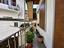 Immagine 6