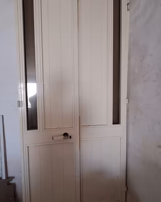 Porta in alluminio bianca 246X110,5