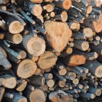 Legna da ardere  per barbacue ulivo castagno 