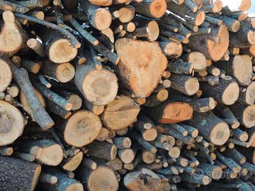 Legna da ardere  per barbacue ulivo castagno 