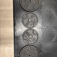 Dischi palestra 60 kg