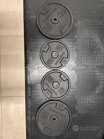 Dischi palestra 60 kg