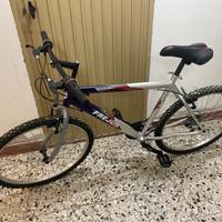 Bicicletta mountain bike