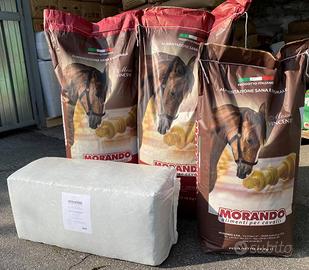 mangimi per cavalli 
