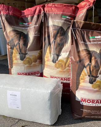 mangimi per cavalli 