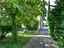 Immagine 10