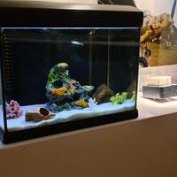 Acquario mirabello 30