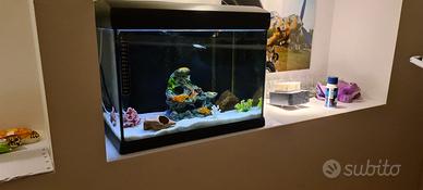 Acquario mirabello 30