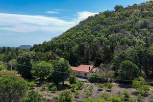 Terreno Edificabile - Nicolosi