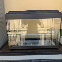 Acquario 60l