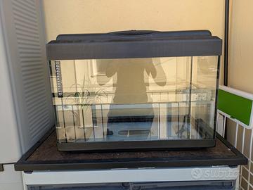 Acquario 60l