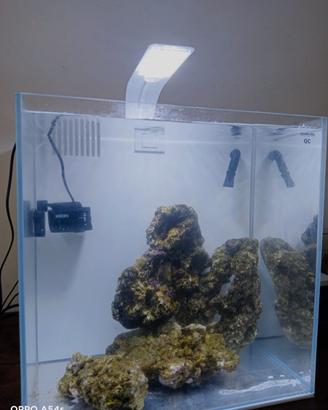 Acquario marino