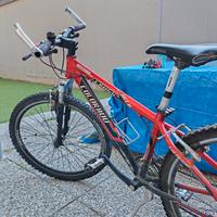 Mountain bike MTB da ragazzo (ruote 26) 