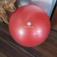 palla da ginnastica o gravidanza