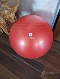 palla da ginnastica o gravidanza