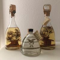 Bottiglie grappa