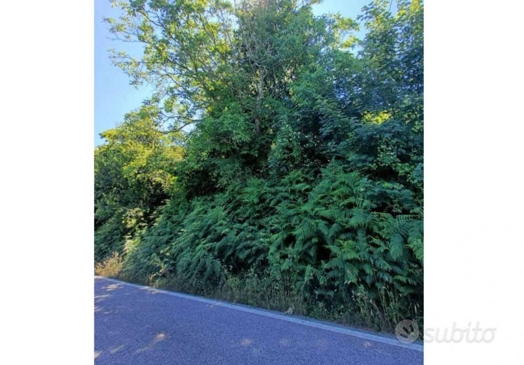 Immobile in asta di 2525 m² a Montalbano Elicona - Vista 4