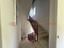 Immagine 27