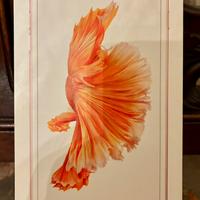 iPhone 6S Plus 64GB rosegold+Auricolari+Caricatore