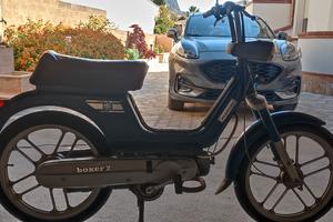 Disponibile Piaggio boxer