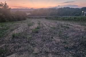 Terreno agricolo collinare