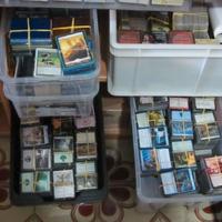 Diversi Lotti composti da 250 Carte MTG