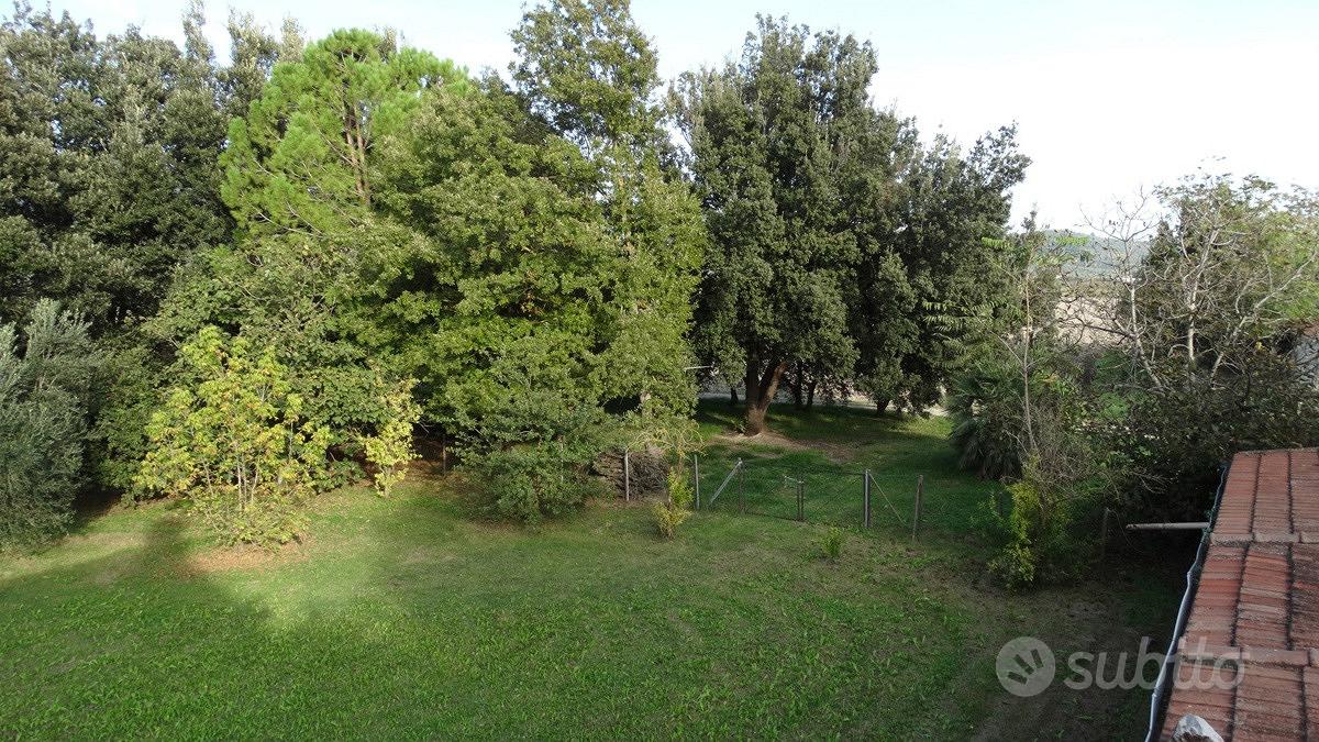 Terreno Agricolo Grosseto [Cod. rif 3102120VCG] - Vista 2
