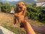 Immagine 4