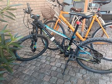mountain-bike  ragazzo 24 pollici
