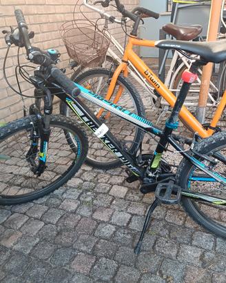 mountain-bike  ragazzo 24 pollici