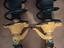 Immagine 1