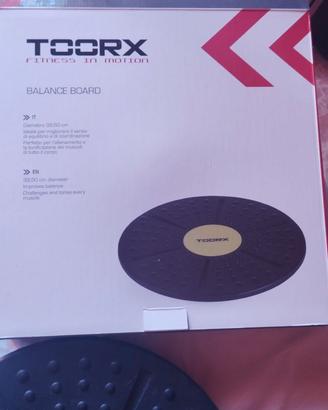 Tavola equilibrio, balance board, propriocettiva