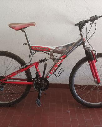 Mountain bike