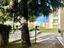 Immagine 26