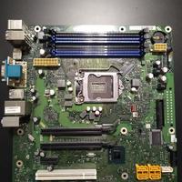 Scheda Madre Fujitsu D3161-A12 GS 1 NON testato