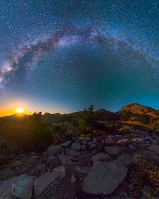 smarthifone a 49 euro nuovo