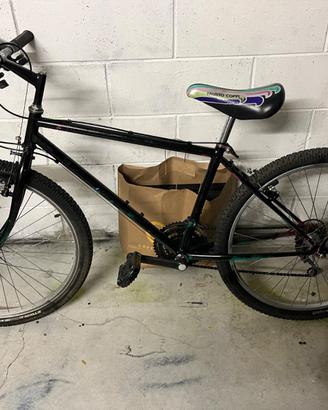 Bicicletta
