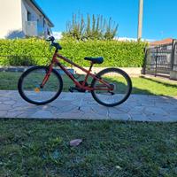 Bici 24 pollici