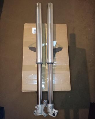 Forcelle per Beta RR Motard 125 R16V