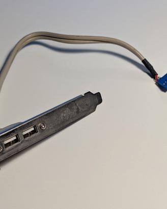 Staffa di Espansione 2 Porte USB 2.0 per Slot PCI