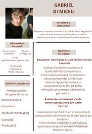 Curriculum di Lavoro