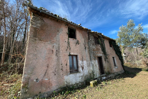 Casa e terreno Cerisano