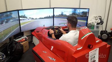 Simulatori vari Amatoriali e Professionali