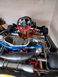 telaio go kart Birel 2021