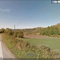 Colline vicinanze Acqui Terme a 5 km