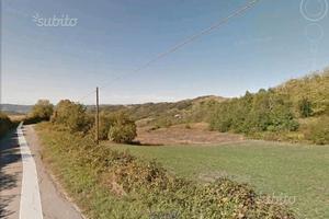 Colline vicinanze Acqui Terme a 5 km