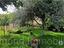 Immagine 24